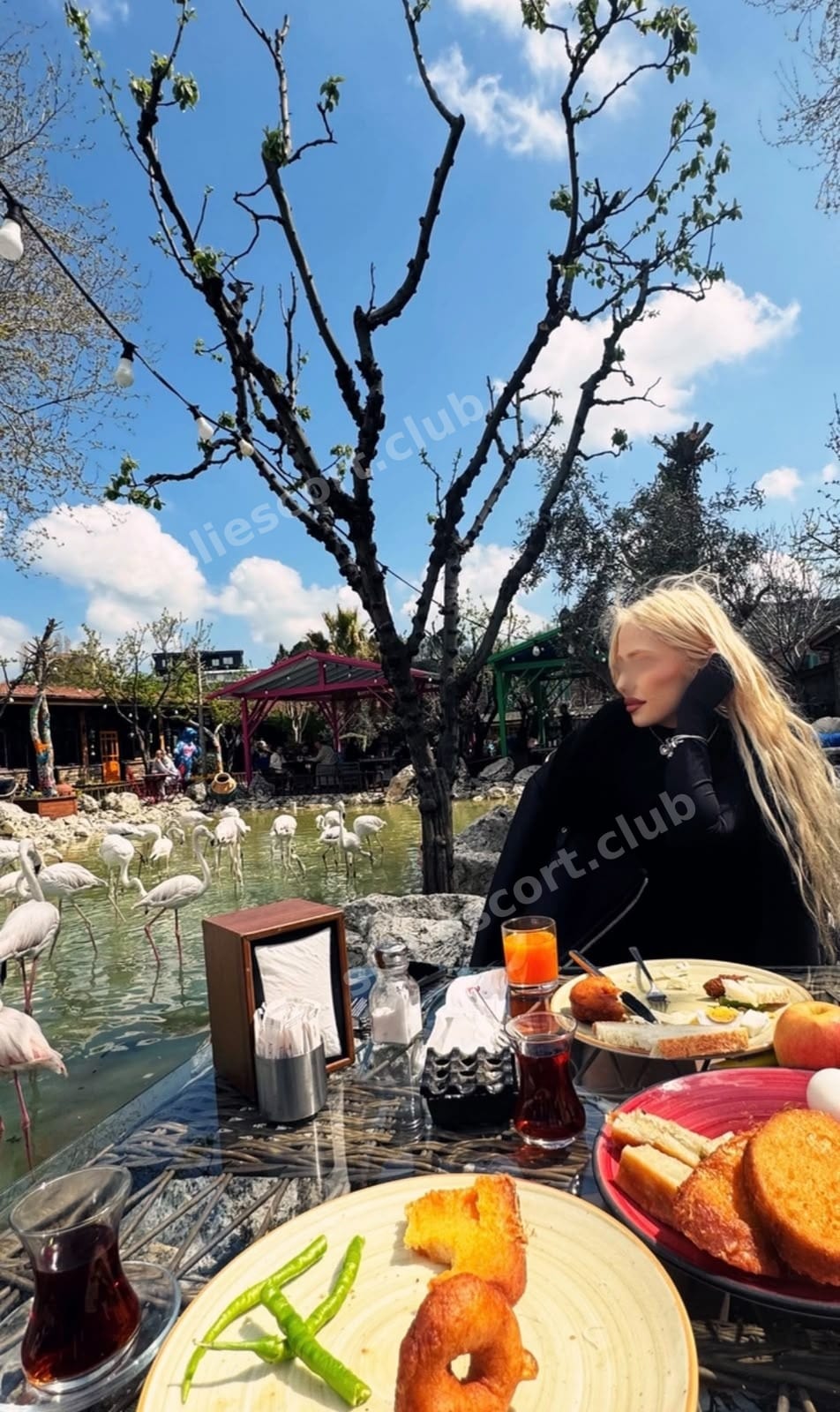 Melike — Kartal escort 12